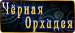 Нет новых сообщений
